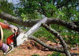 Landscape Design and Installation in Magnolia, NC